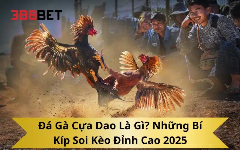 Đá Gà Cựa Dao Là Gì? Những Bí Kíp Soi Kèo Đỉnh Cao 2025